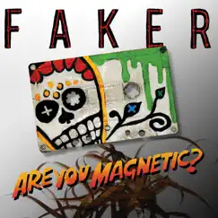 Are You Magnetic? (Radio Mix) Song Lyrics