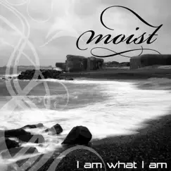 I Am (feat. Ise) [Moistified] Song Lyrics
