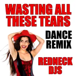Wasting All These Tears (Dance Remix) - Single by Red Neck DJs album reviews, ratings, credits