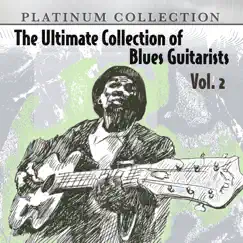 The Ultimate Collection of Blues Guitarists, Vol. 2 (Re-Recorded Versions) by Various Artists album reviews, ratings, credits