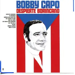 Despierte Borincano Song Lyrics