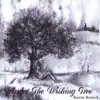 Under the Wishing Tree album lyrics, reviews, download
