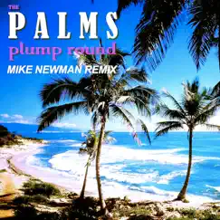 Plump Round (Mike Newman Remix) Song Lyrics