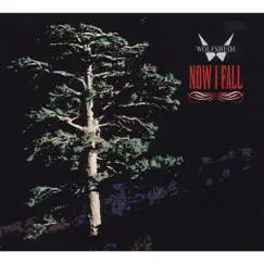 Now I Fall - Single by Wolfsheim album reviews, ratings, credits