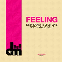 Feeling (feat. Natalie Orlie) [Extended Mix] Song Lyrics