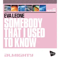 Somebody That I Used to Know (Almighty Radio Edit) Song Lyrics