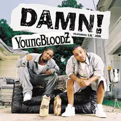 Damn! (feat. Lil' Jon) - Single by YoungBloodZ album reviews, ratings, credits