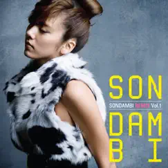Son Dam Bi Remix, Vol. 1 - EP by Son Dam Bi album reviews, ratings, credits