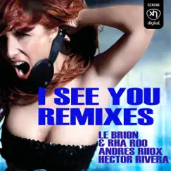 I See You (Andres Riiox Remix) Song Lyrics