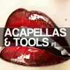 Music Is the Answer 2011 (feat. Vincent Parker) [Acappella Tool] song lyrics