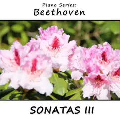 Piano Sonata No. 26 in E-Flat Major (Les Adieux), Opus 81a: I. Adagio Song Lyrics