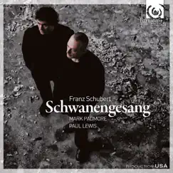 Schwanengesang, D. 957: Am Meer Song Lyrics