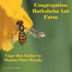 Congregation Bathsheba Ant Farm Song Lyrics