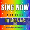 Sing Now Karaoke - Big Band & Jazz Live (Perfoemance Backing Tracks) album lyrics, reviews, download