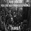 You Live In A Fabricated World - Single album lyrics, reviews, download