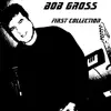 Bob Gross First Collection album lyrics, reviews, download