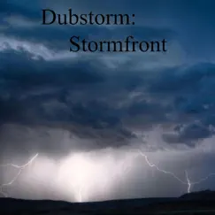 Stormfront 6 Song Lyrics
