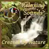 Relaxing Sounds Created By Nature - Part 2 album lyrics, reviews, download