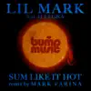 Sum Like It Hot (feat. Allegra Bandy) album lyrics, reviews, download