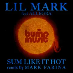 Sum Like It Hot (Mark Farina's Fillamore & Halstead Dub) [feat. Allegra Bandy] Song Lyrics