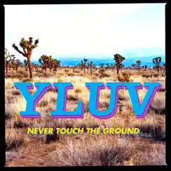 Never Touch the Ground - Single by Y LUV album reviews, ratings, credits