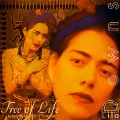 Tree of Life by Lila Downs album reviews, ratings, credits