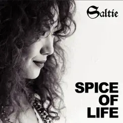 Spice of Life by Saltie album reviews, ratings, credits