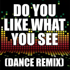 Do You Like What You See (Dance Remix) - Single by The Re-Mix Heroes album reviews, ratings, credits