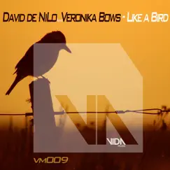 Like a Bird (feat. Veronika Bows) [Extended] Song Lyrics