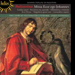 Missa Ecce ego Johannes: IV. Sanctus Song Lyrics