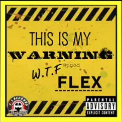 This Is My Warning - Single by Flex album reviews, ratings, credits