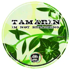 Im Not Breathing - Single by Tamarin album reviews, ratings, credits