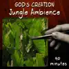 Jungle Ambience (90 Minutes) album lyrics, reviews, download