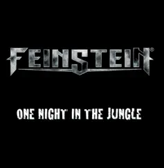 One Night In the Jungle by Feinstein album reviews, ratings, credits
