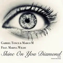 Shine On You Diamond (TEFlo Remix) Song Lyrics