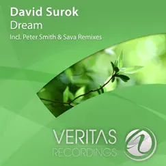 Dream (Peter Smith Remix) Song Lyrics