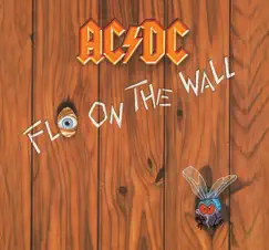 Fly On the Wall Song Lyrics