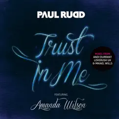 Trust In Me (Mikael Wills Remix) [feat. Amanda Wilson] Song Lyrics