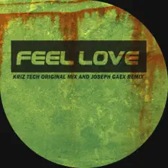 Feel Love Song Lyrics