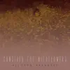 Consider the Wildflowers - EP album lyrics, reviews, download