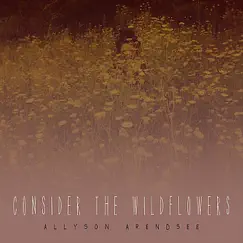 Consider the Wildflowers - EP by Allyson Arendsee album reviews, ratings, credits