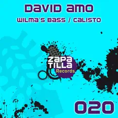 Wilma's Bass / Calisto - Single by David Amo album reviews, ratings, credits