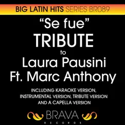 Se fue (Tribute Version) Song Lyrics