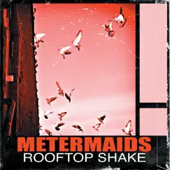 Rooftop Shake (feat. 9th Wonder) Song Lyrics