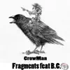 Fragments (feat. B.C.) - Single album lyrics, reviews, download