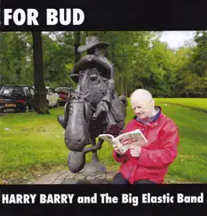 For Bud - Single by Harry Barry and the Big Elastic Band album reviews, ratings, credits