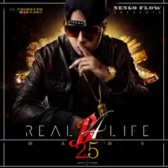 Real G 4 Life Baby, Pt. 2.5 by Ñengo Flow album reviews, ratings, credits