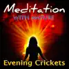 Evening Crickets album lyrics, reviews, download