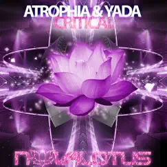 Critical - Single by AtrophIA & Yada album reviews, ratings, credits