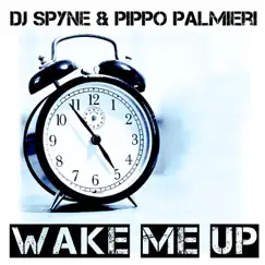 Wake Me Up (Paolo Ortelli vs Degree Edit Remix) Song Lyrics